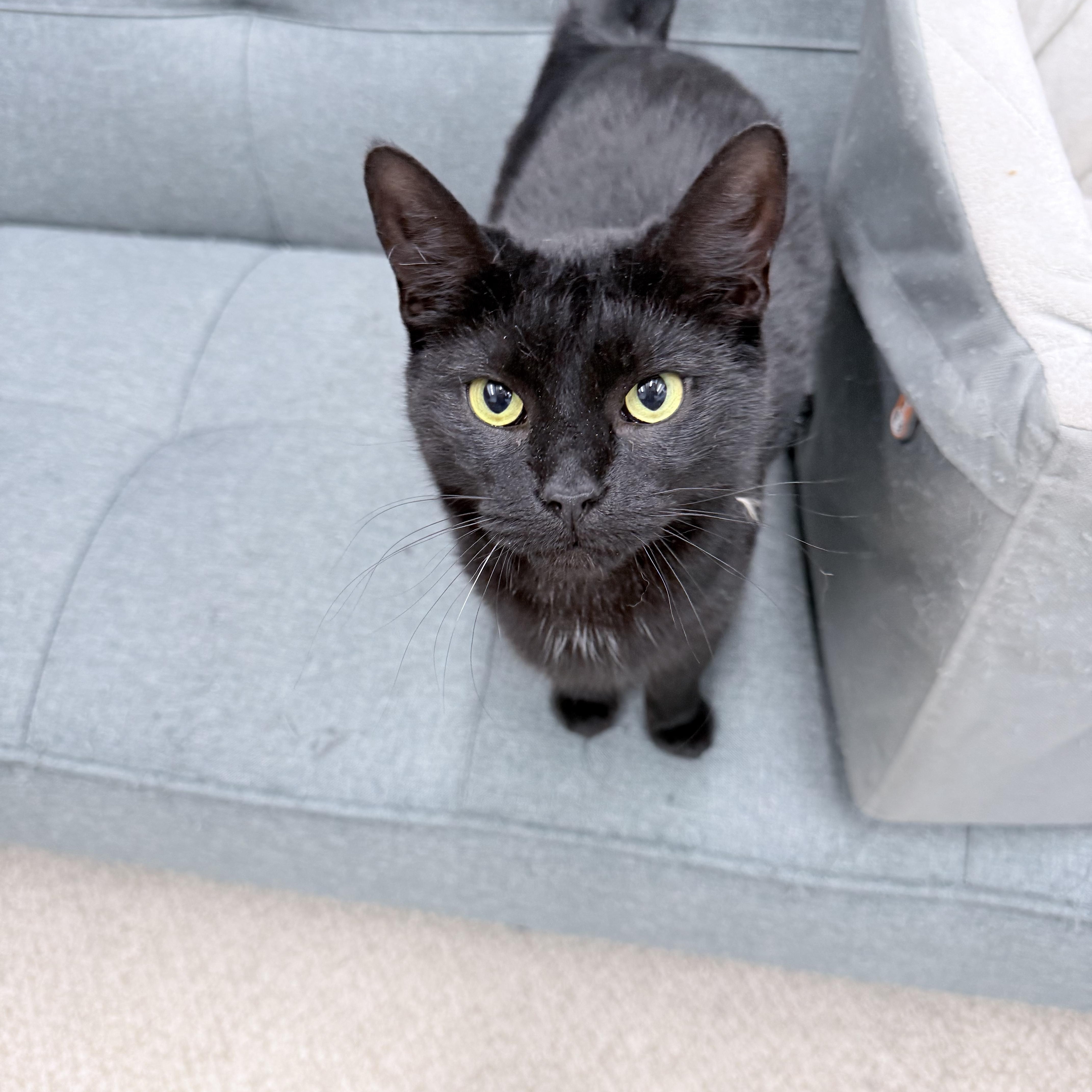 Lilianna thumbnail 6