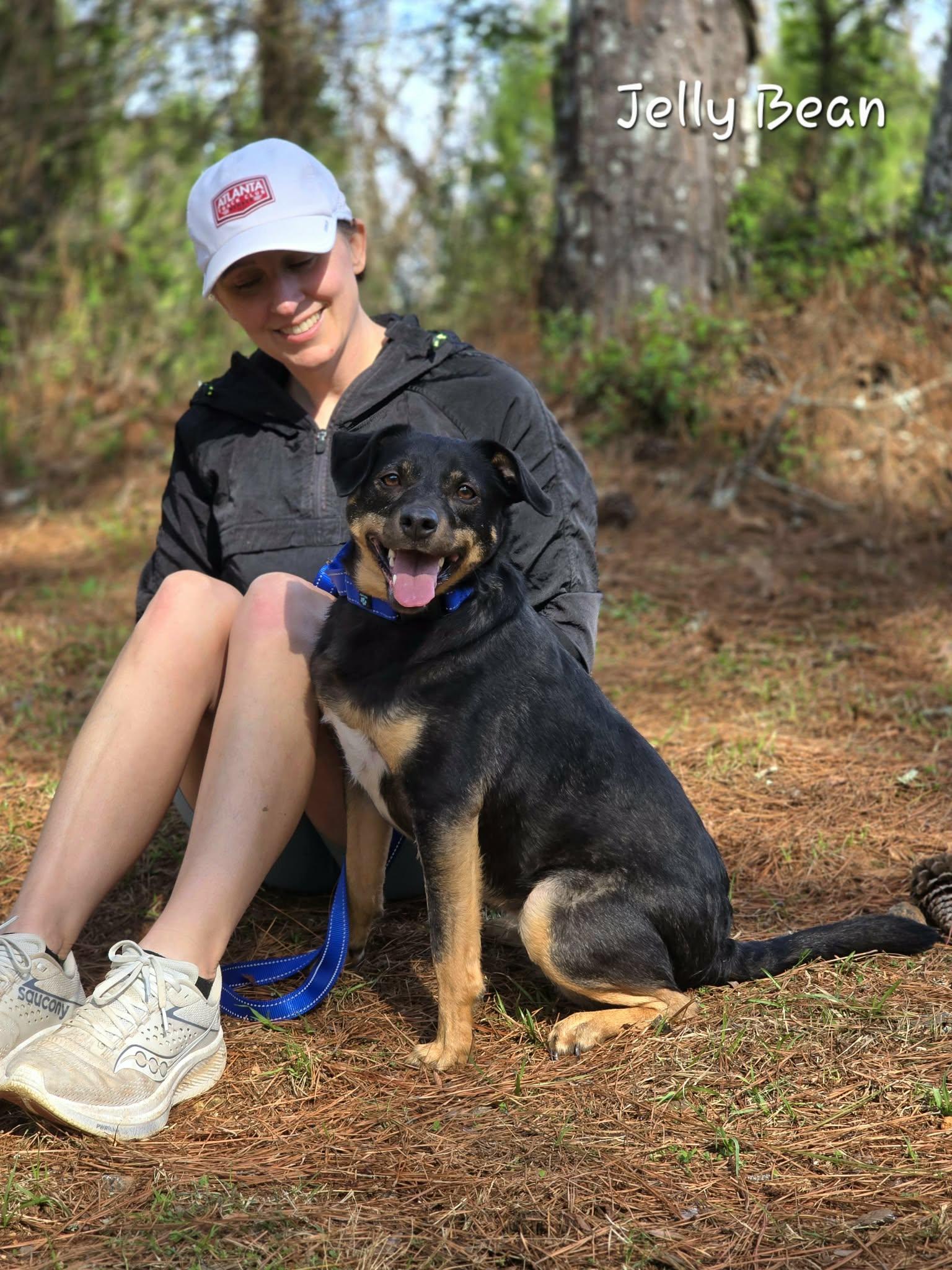 Enlarge Jelly Bean, a ADOPTABLE mixed breed in Bishop, GA image 2/5