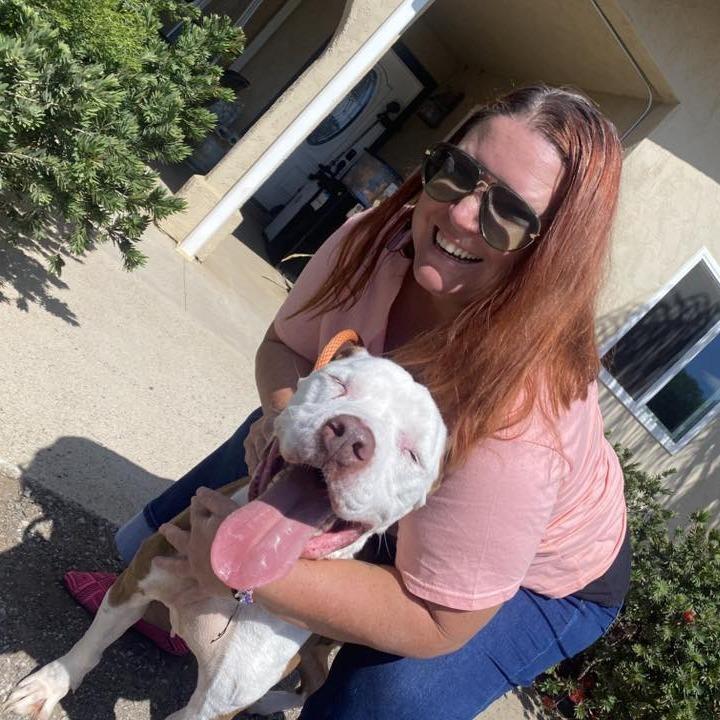 Nikko — thumbnail 2