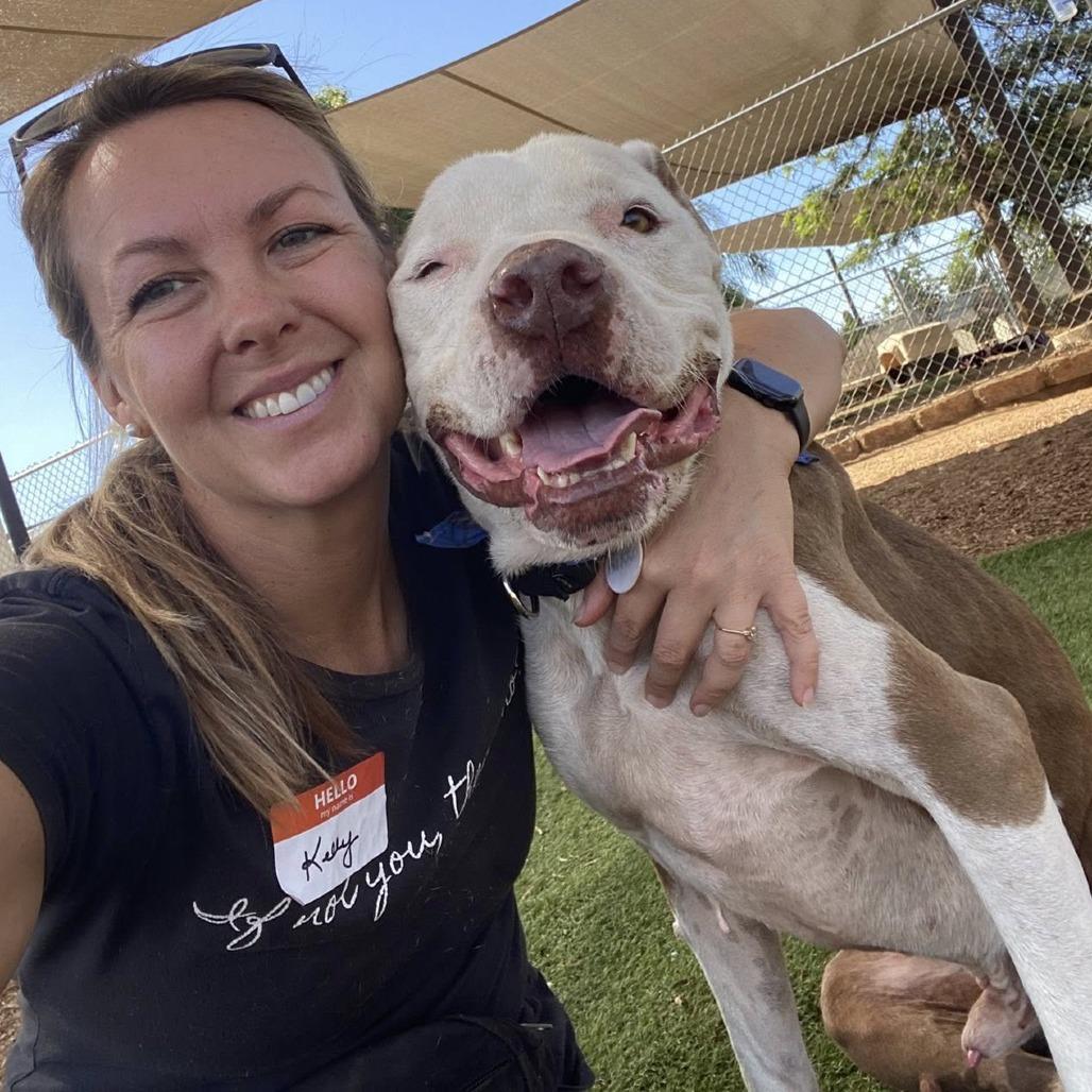 Enlarge Nikko, a Adoptable Pit Bull Terrier in Ramona, CA image 5/6