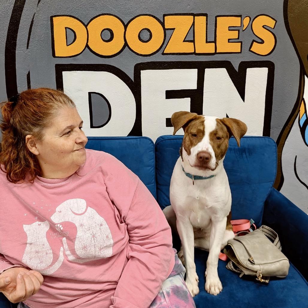 Enlarge Kalina (Sponsored), a Adoptable mixed breed in East Saint Louis, IL image 4/6