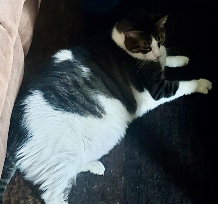 Milo