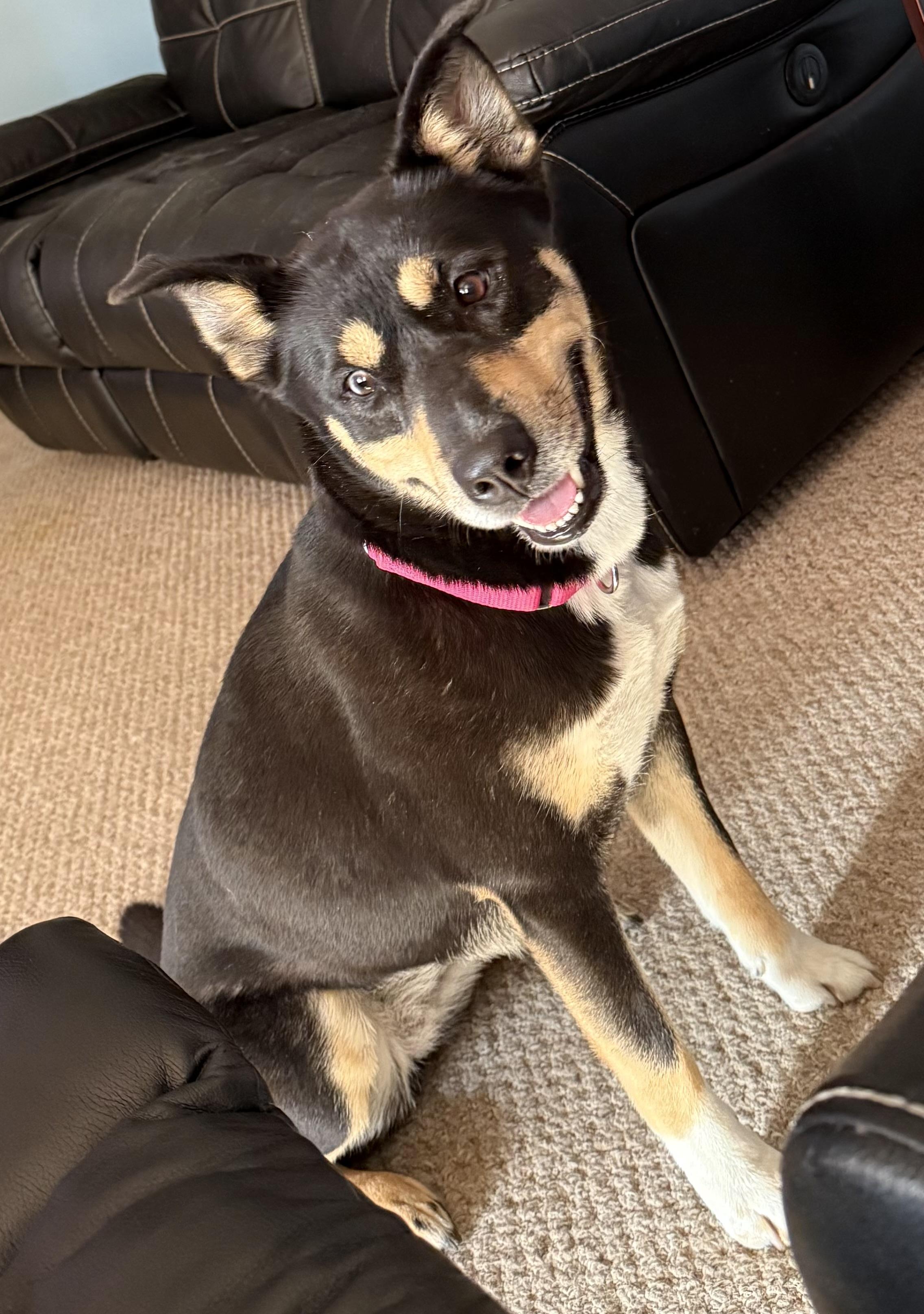 Sophie