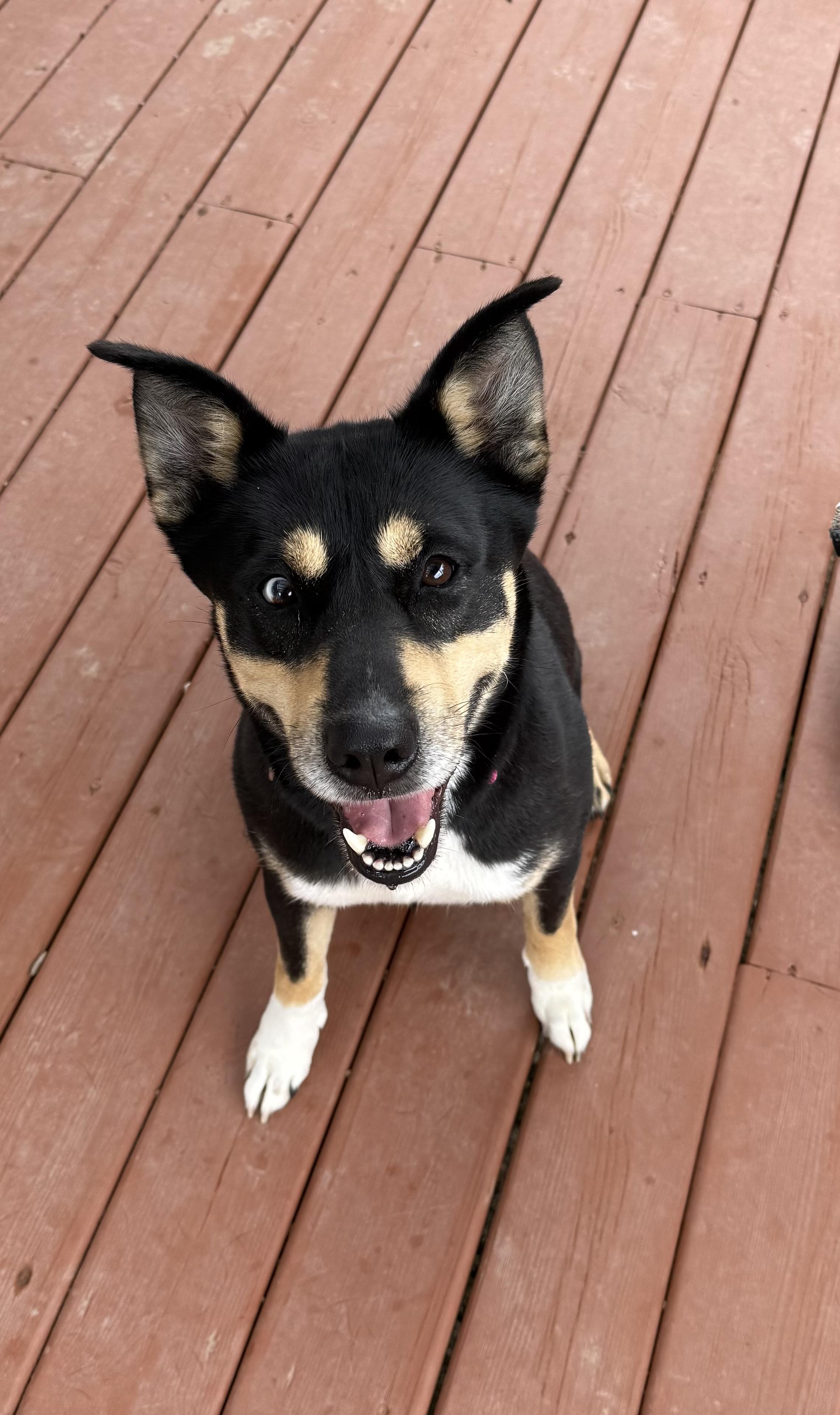 Sophie
