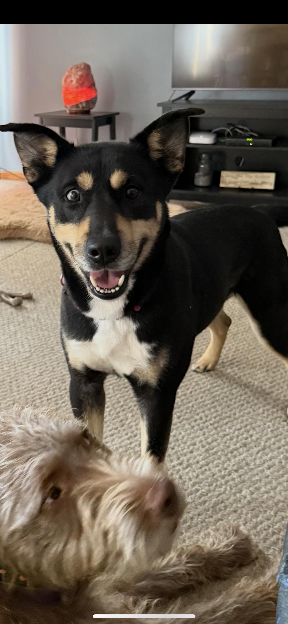 Sophie