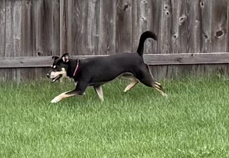 Sophie