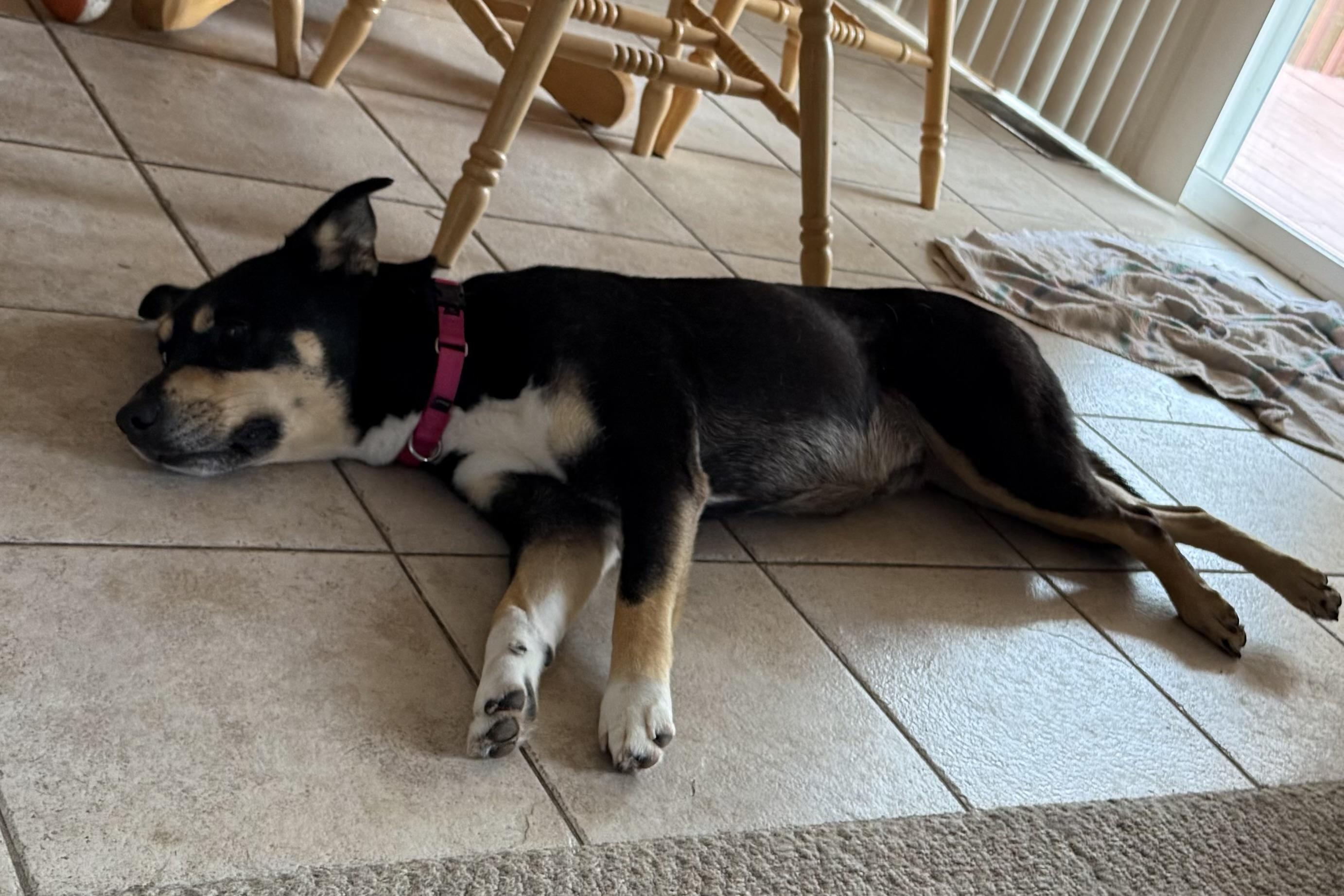 Sophie