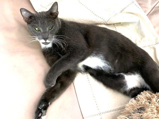 Stash — thumbnail 3