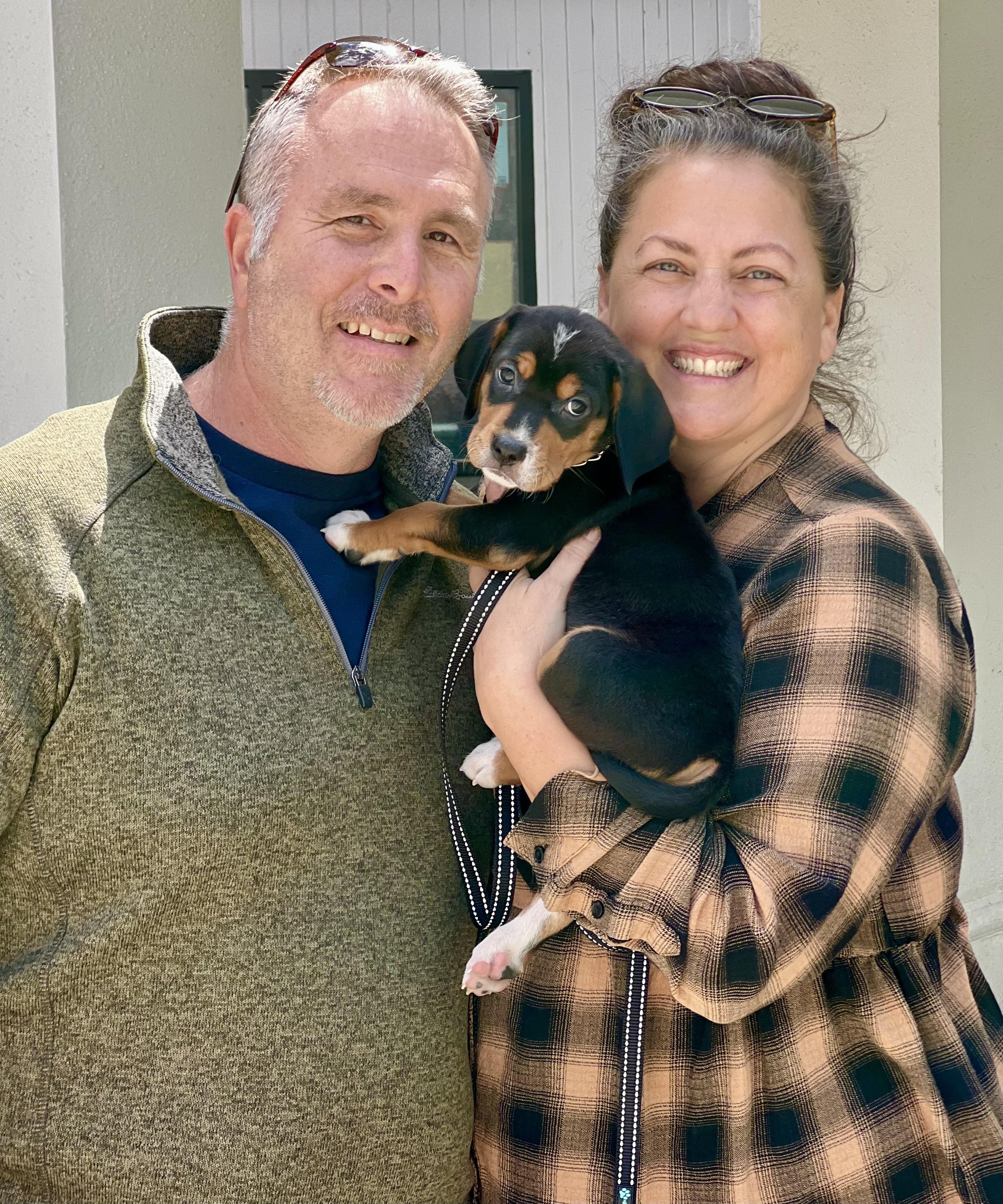 Enlarge Dandy, an adopted mixed breed in Mt Pleasant, SC image 4/4