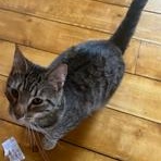 Ess-K — thumbnail 3