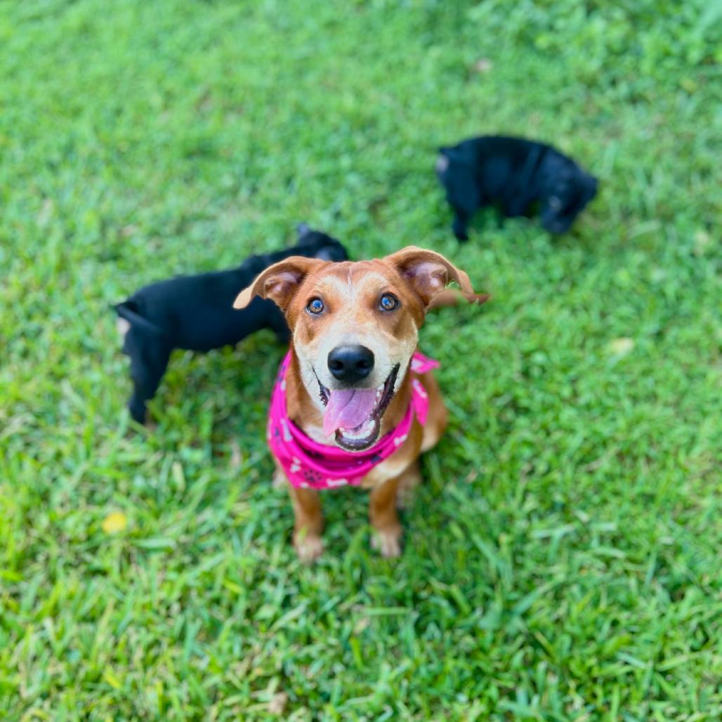 Karen Smith — thumbnail 4