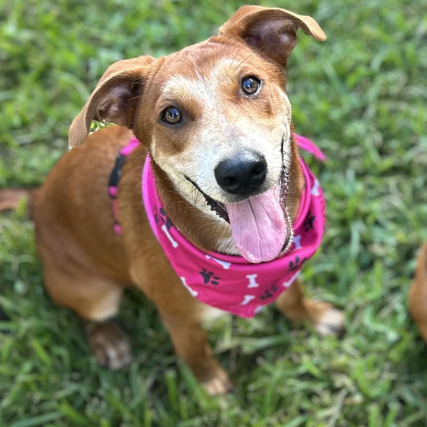 Karen Smith — thumbnail 6