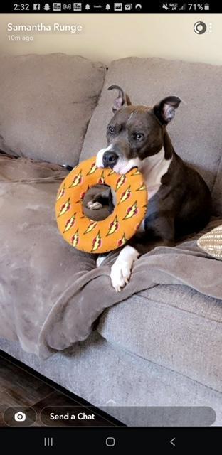 Juniper "junie" thumbnail 4