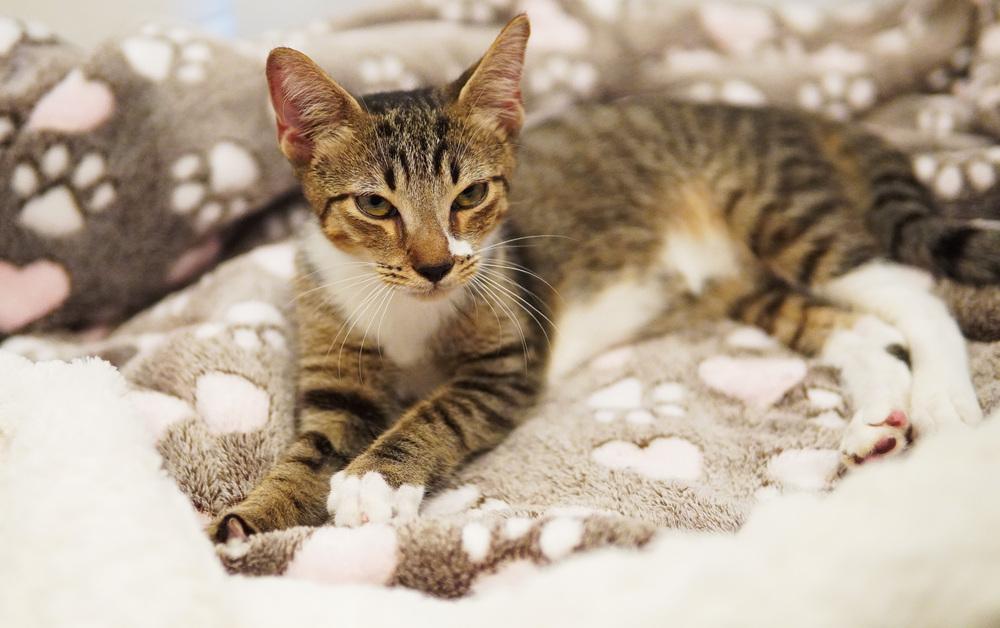 Rory — thumbnail 4