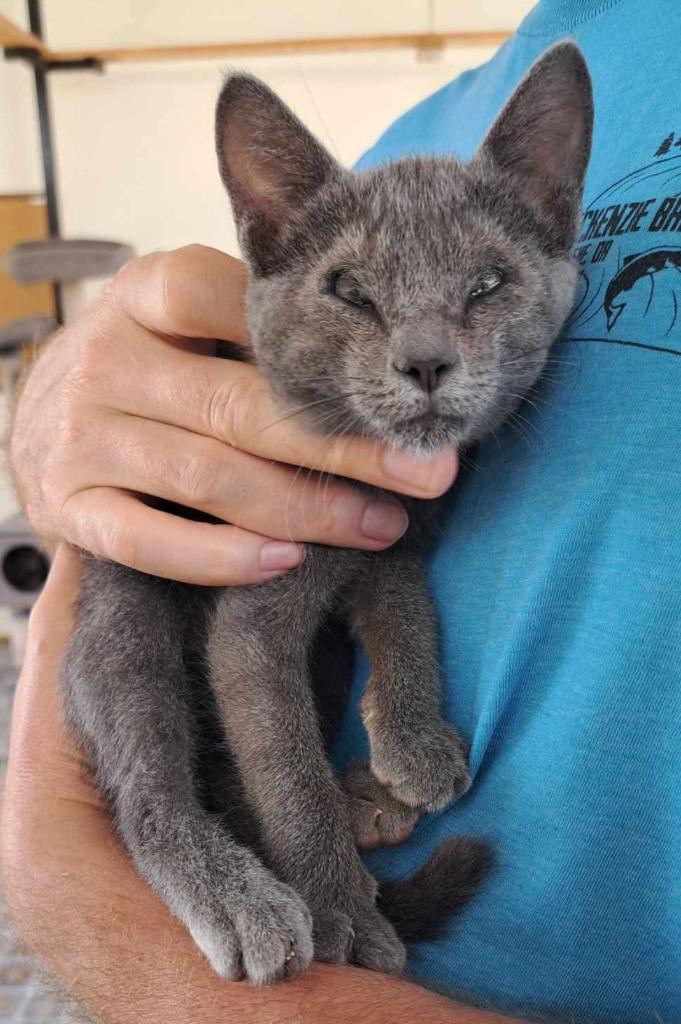 Raya — thumbnail 2