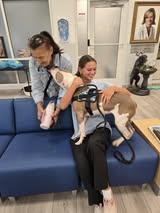 Enlarge Dottie, a Adoptable Pit Bull Terrier in Maidens, VA image 4/5