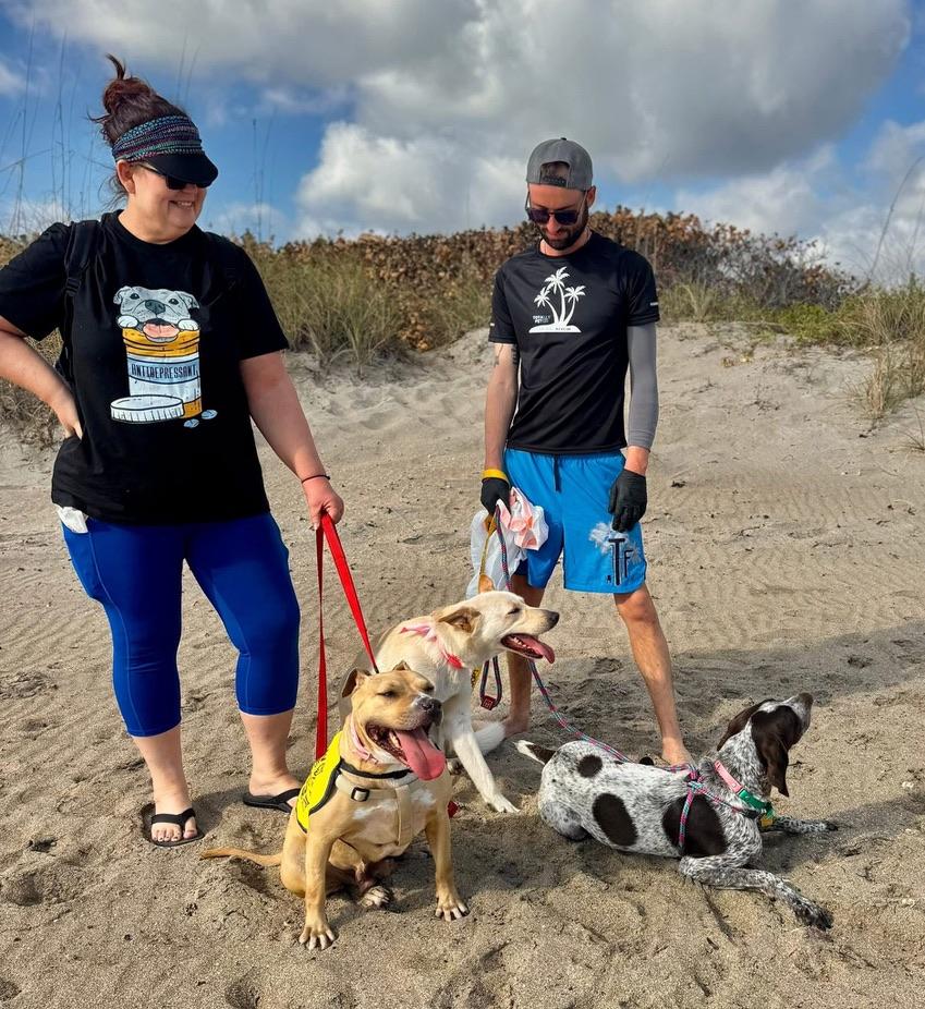 Belle, an adopted mixed breed in stuart, FL image 4/4