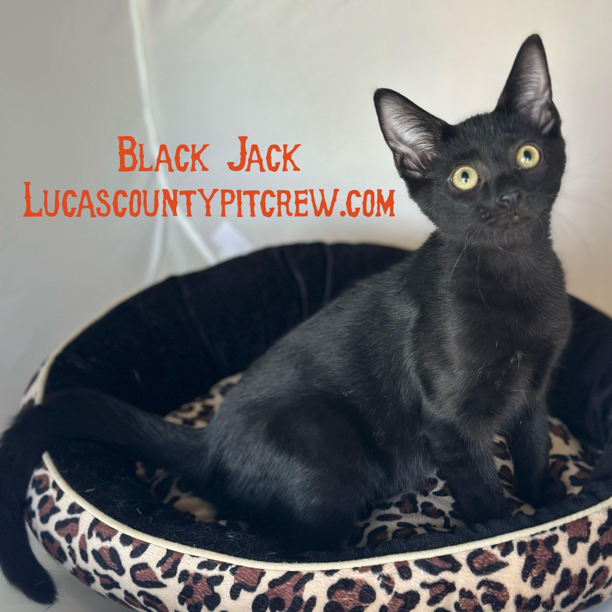 Black Jack