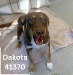 Dakota photo 3