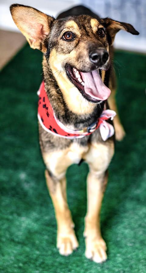 Princess Lea — thumbnail 5