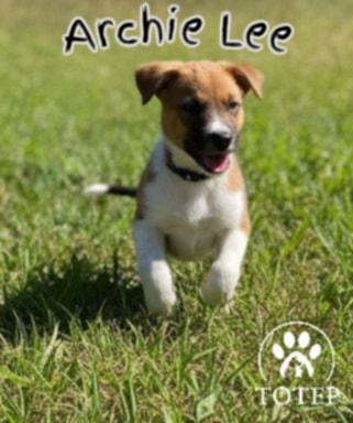 Archie Lee