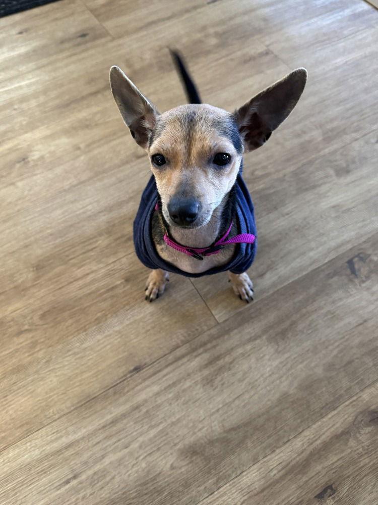 Guadalupe ~ thumbnail 2