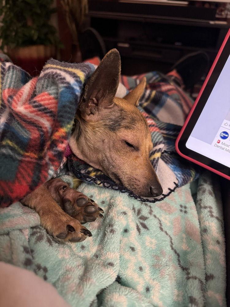 Guadalupe ~ thumbnail 3