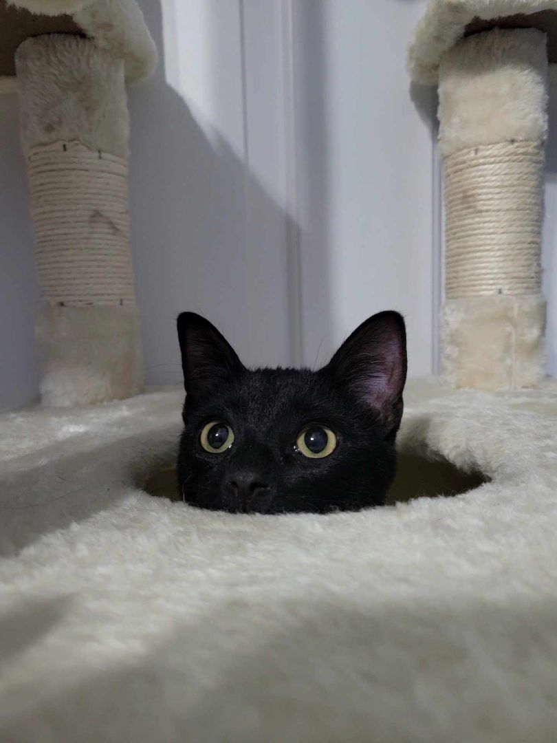 Salem photo 2