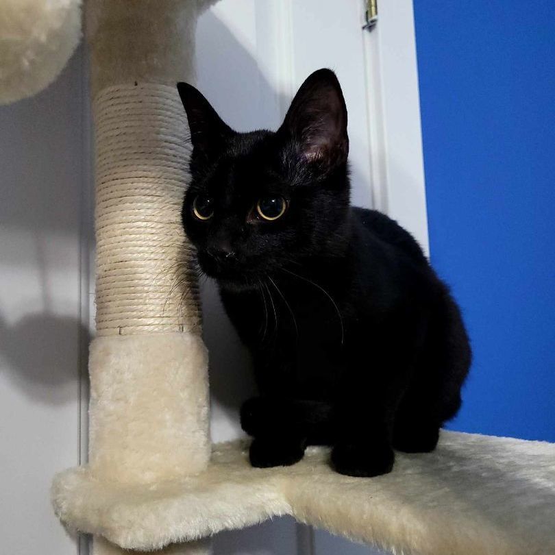 Salem photo 5