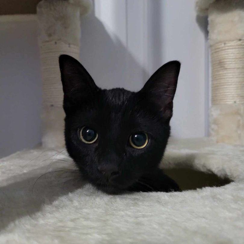 Salem photo 4