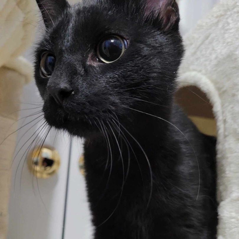 Salem photo 3
