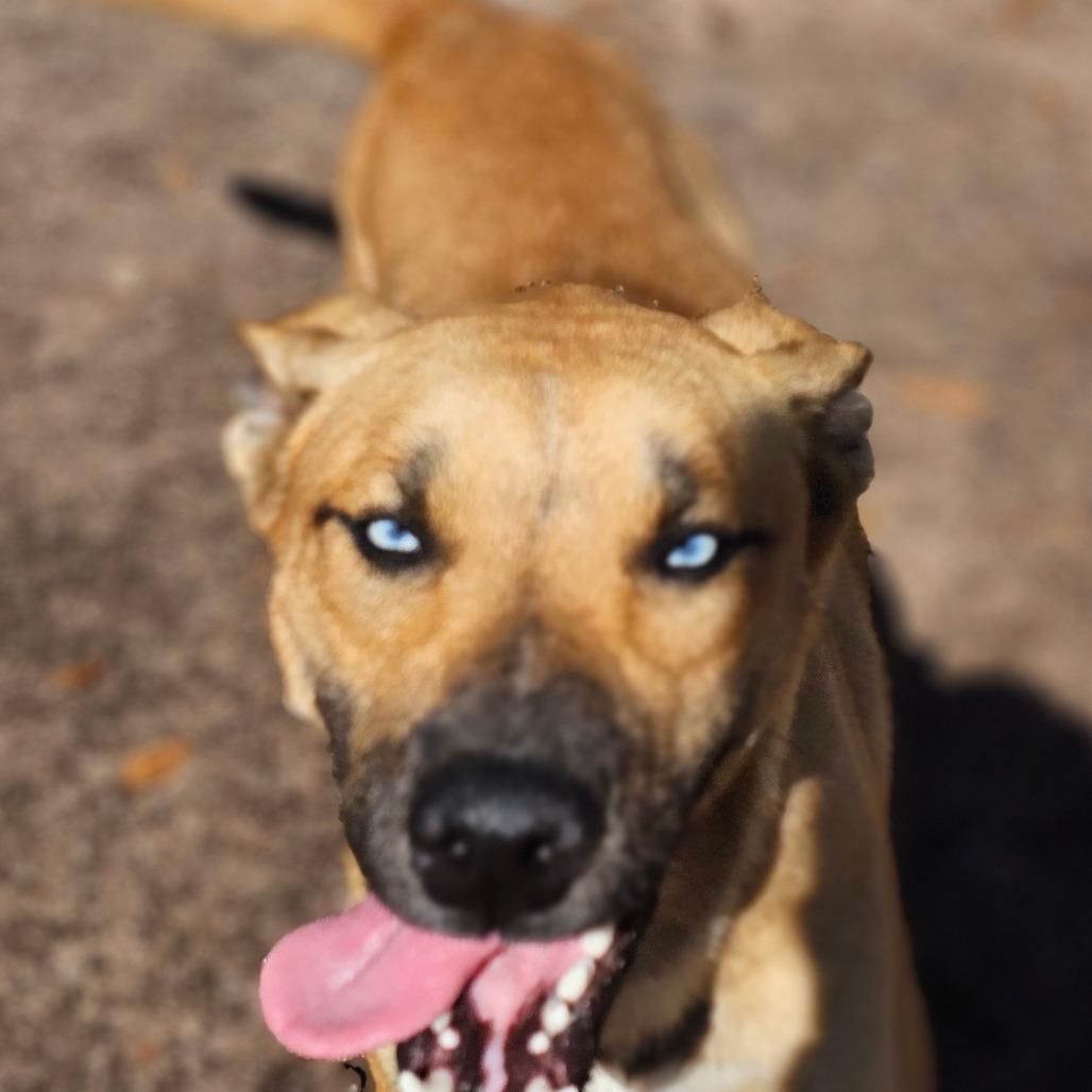 Toby — thumbnail 5