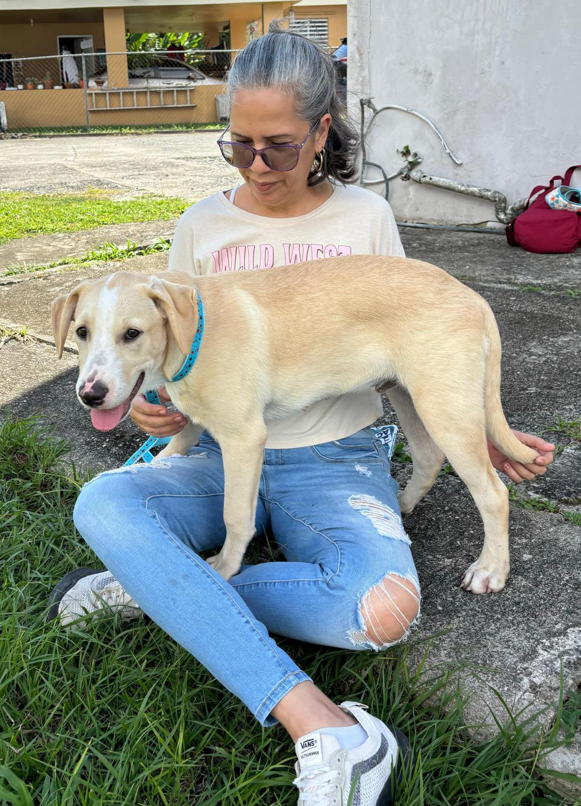 Enlarge Berdie, a ADOPTABLE mixed breed in Ardara, PA image 1/1