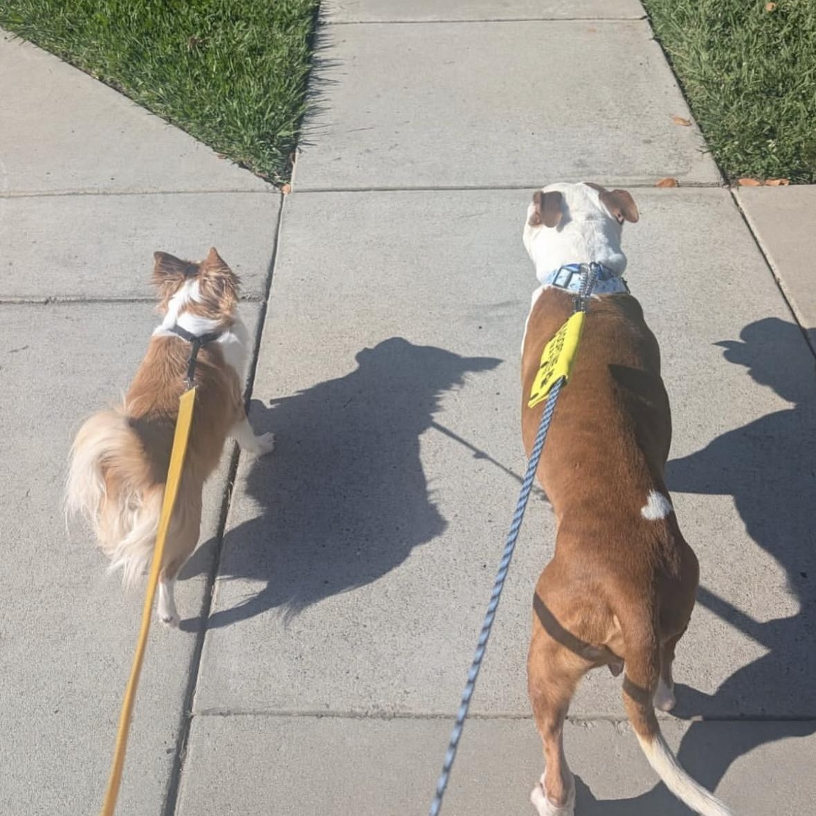 Jake — thumbnail 4