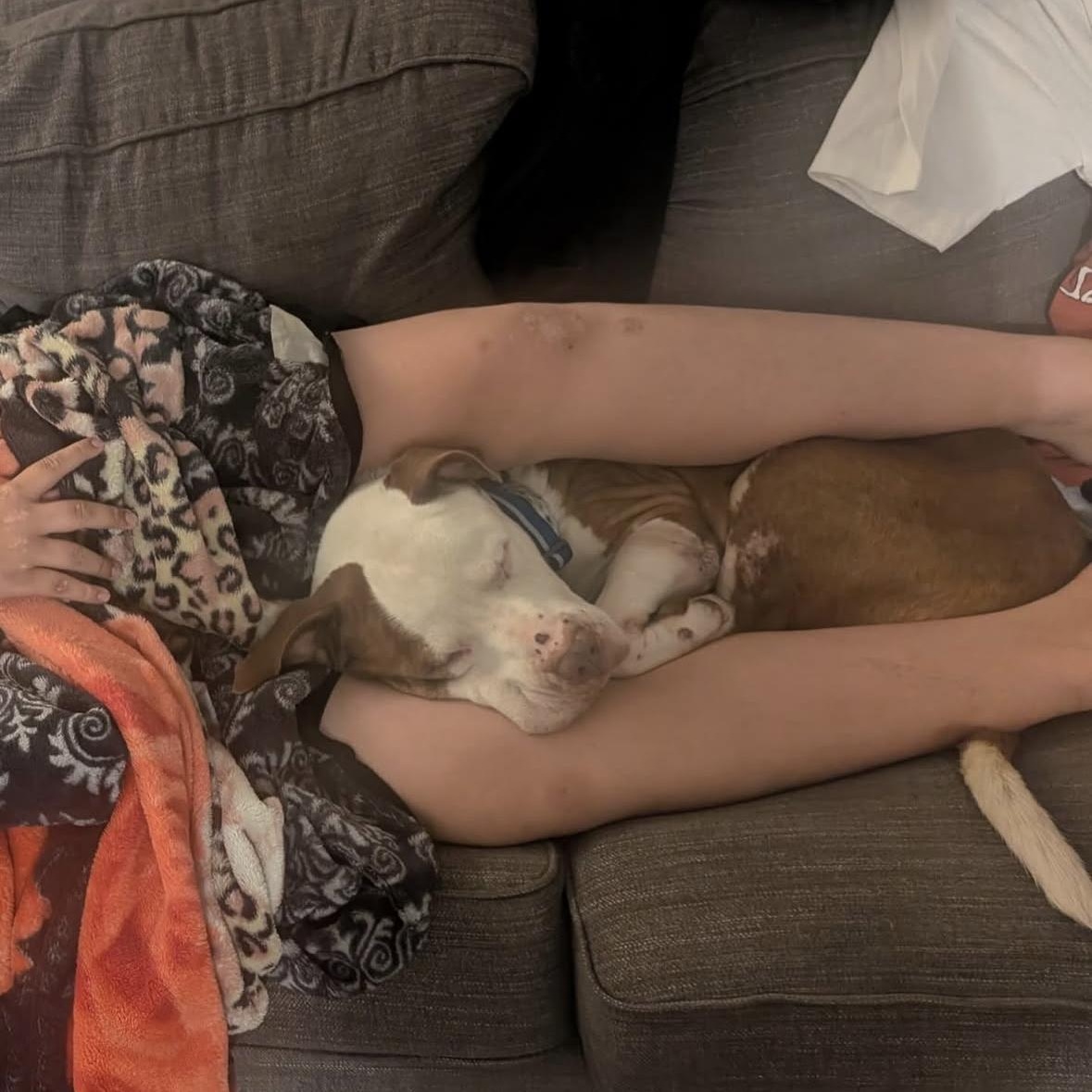 Jake — thumbnail 5