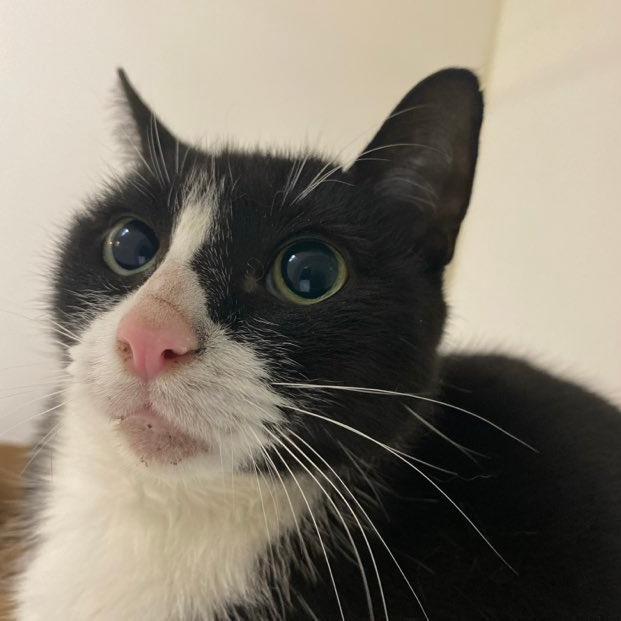 Topper — thumbnail 2