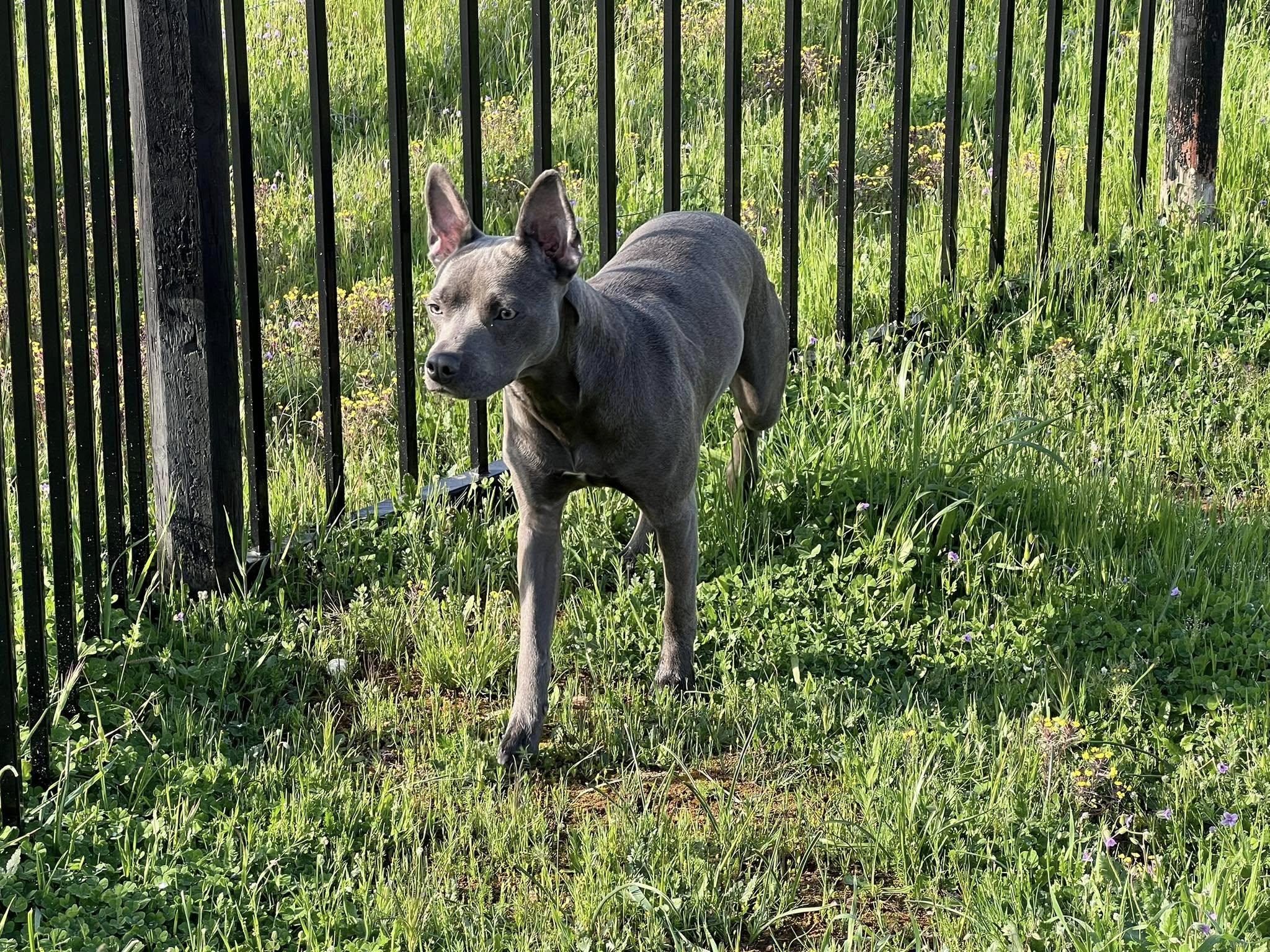 SADIE photo 4