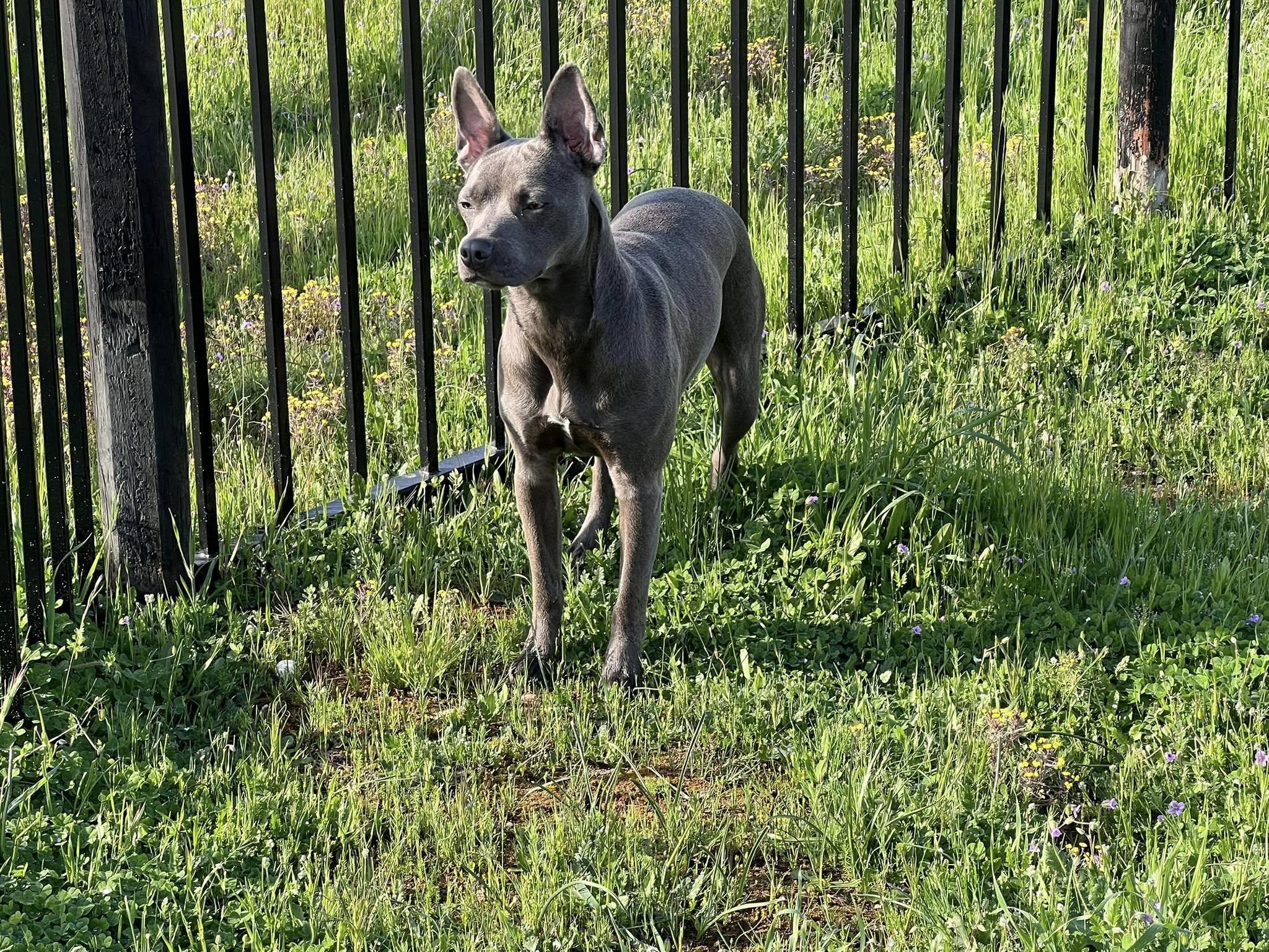 SADIE photo 5