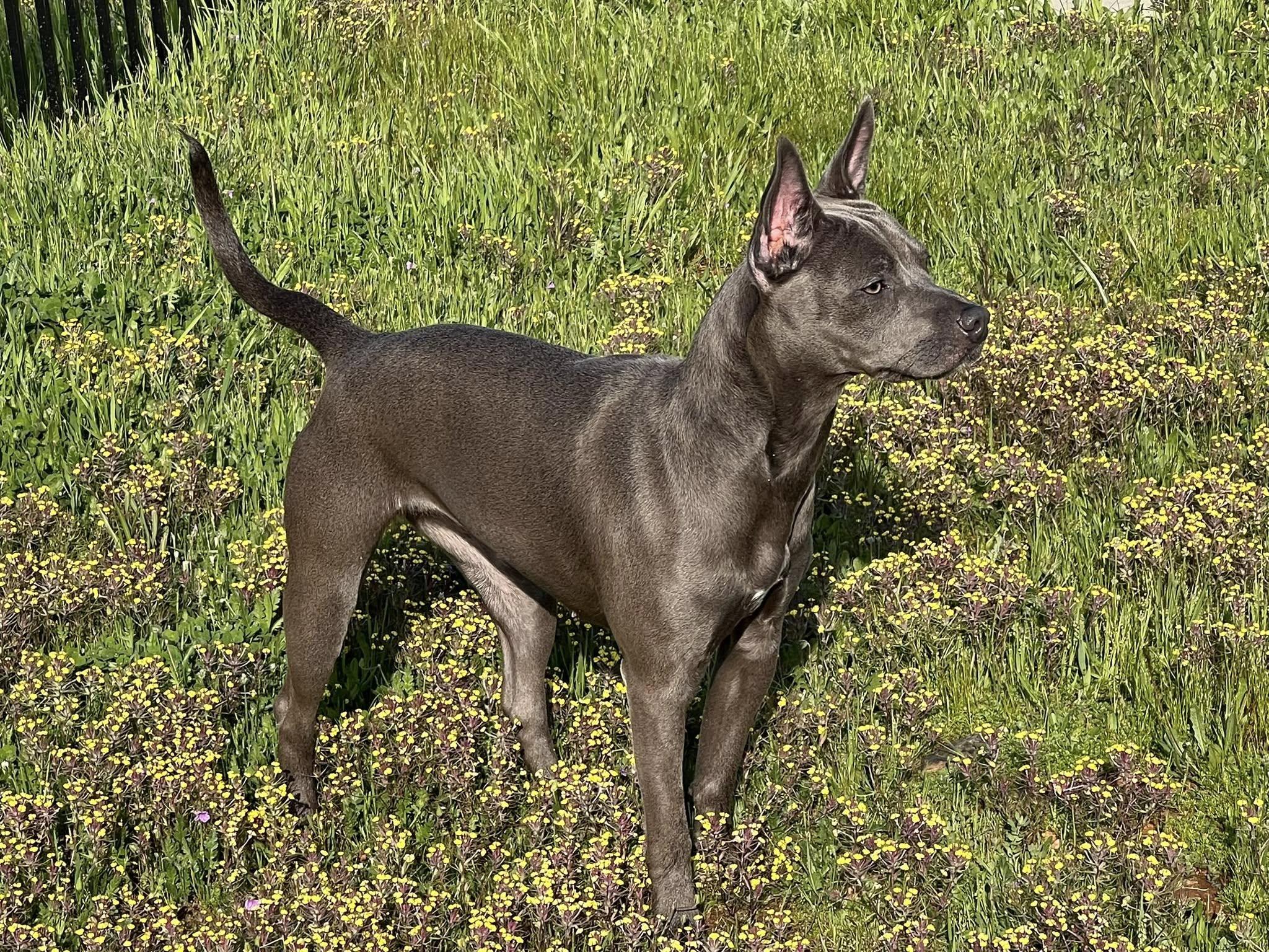 SADIE photo 3