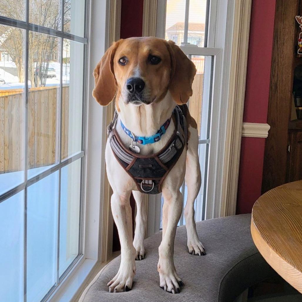 Alvin — thumbnail 5