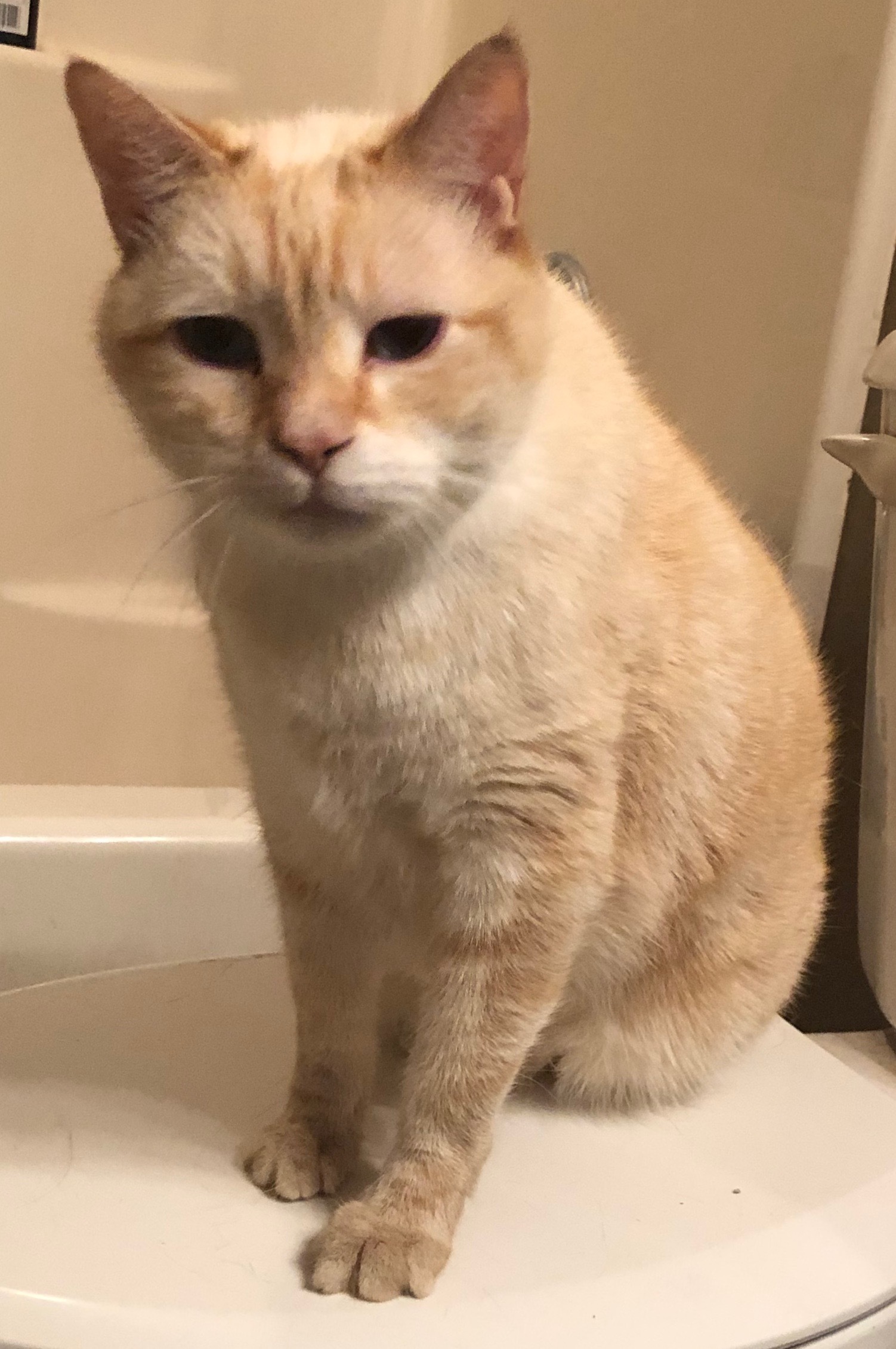 Boozer, Senior Male unknown