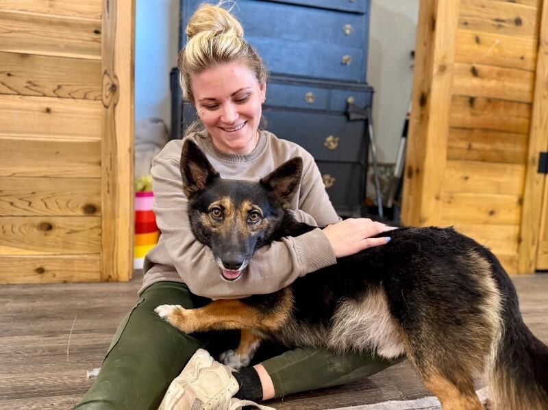 Captain Georgie the Corgi — thumbnail 5