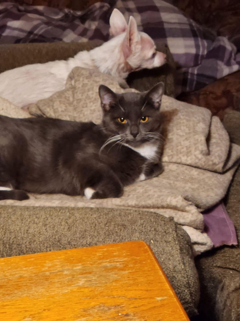 Smokey photo 2