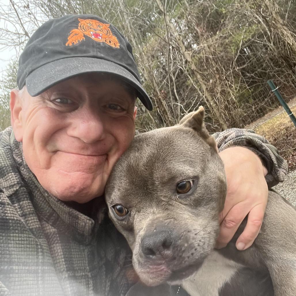 Enlarge Puff, an adoptable Mixed Breed in Greensboro, NC image 2/5