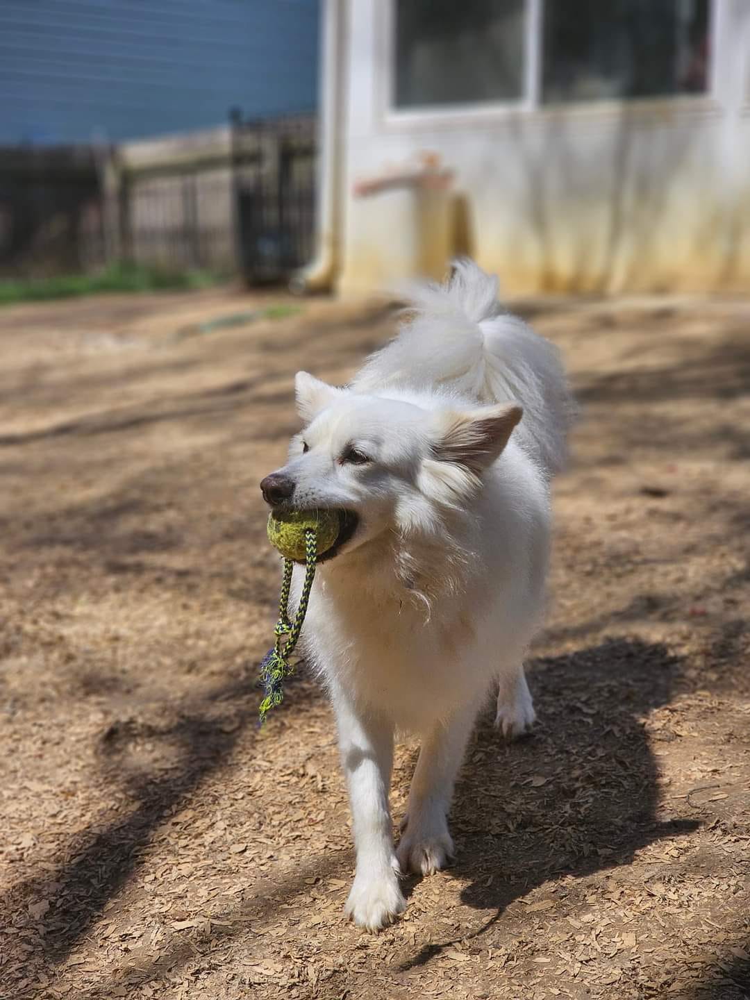 MURPHY