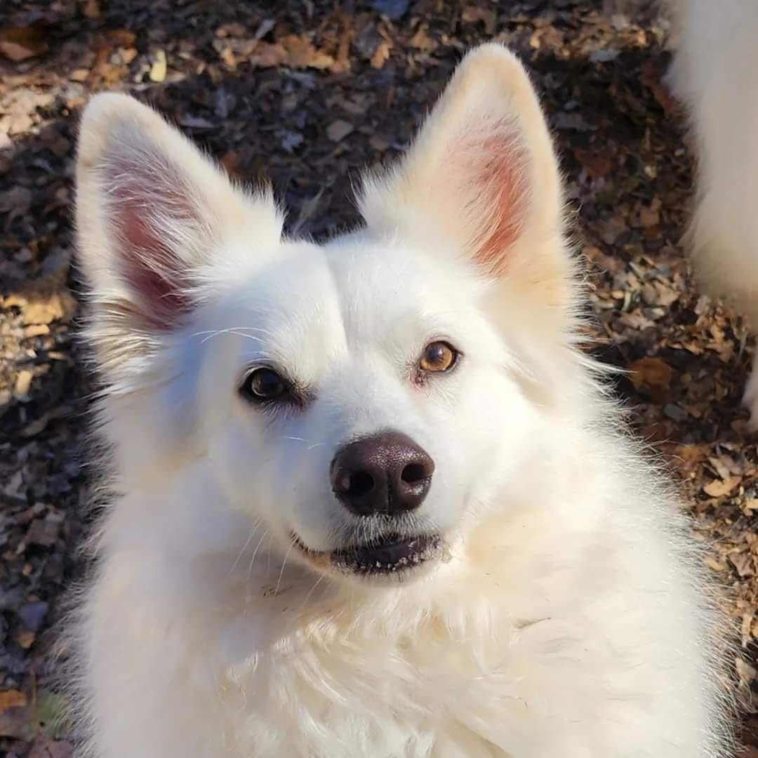 MURPHY