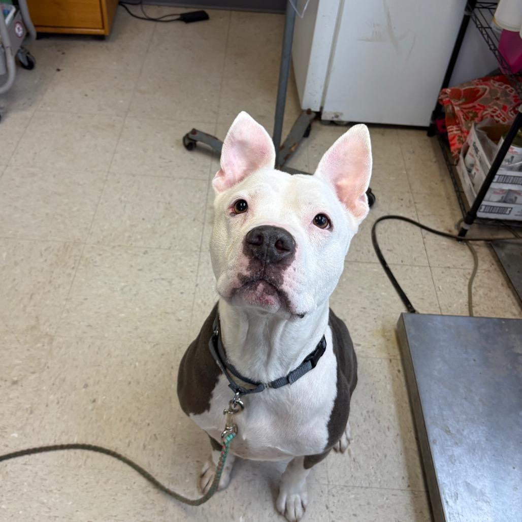 Coleslaw — thumbnail 2