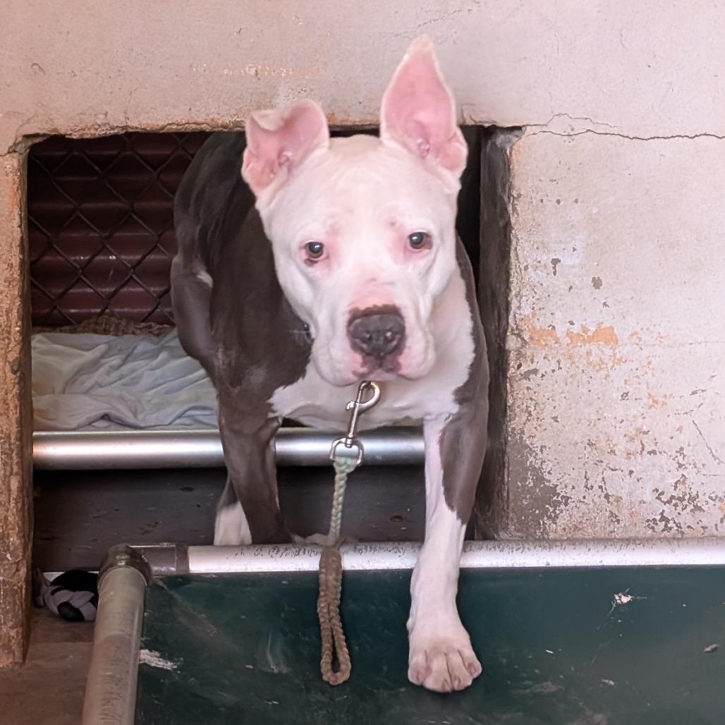 Coleslaw — thumbnail 3