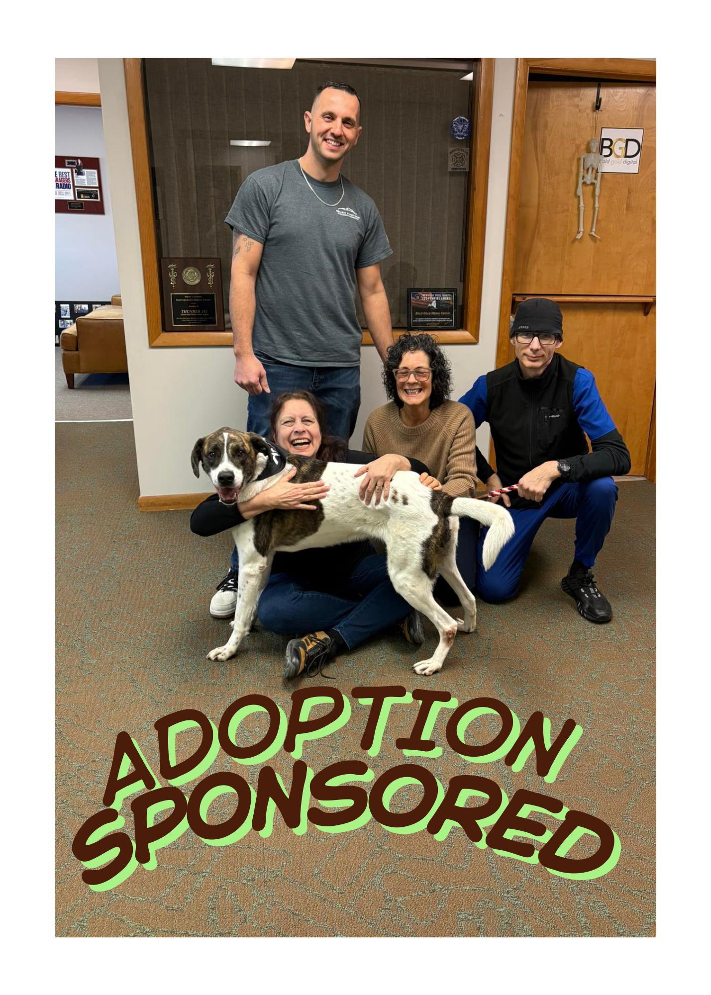 Enlarge Jeep, an adopted mixed breed in Rock Hill, NY image 2/4