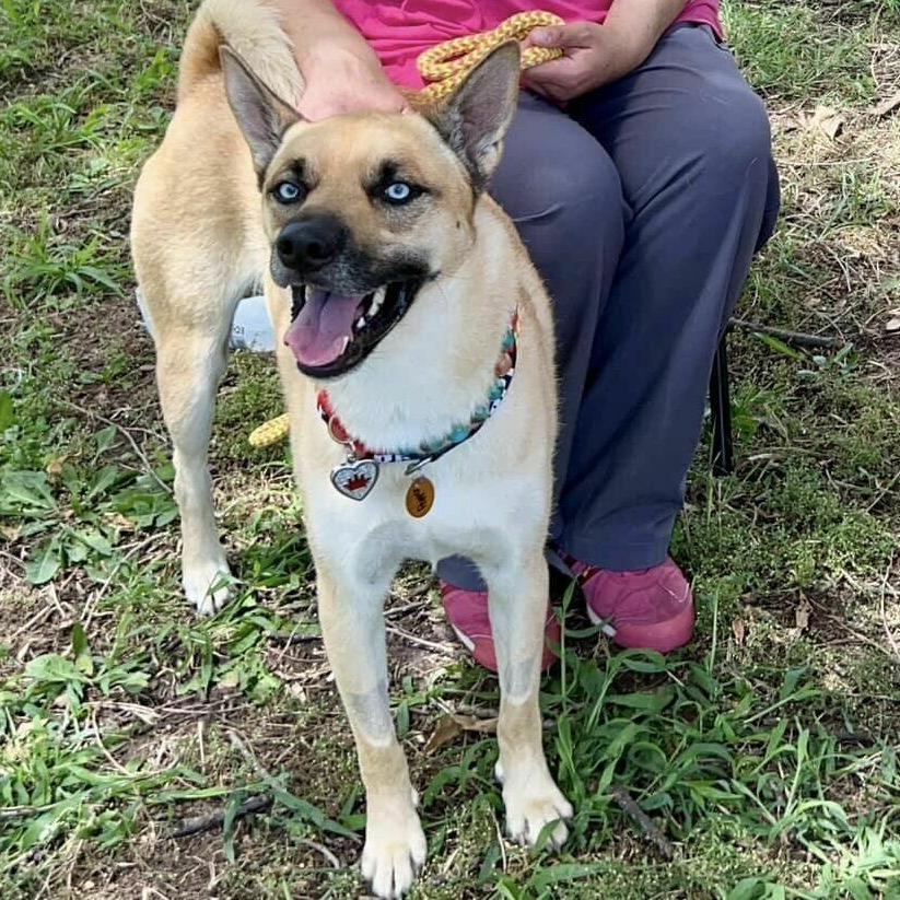 Ocean — thumbnail 2